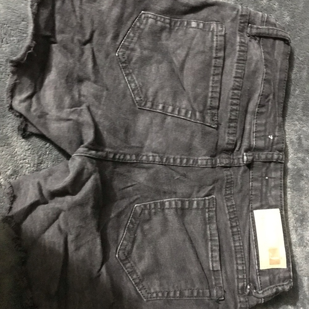 Black Jeggology Shorts